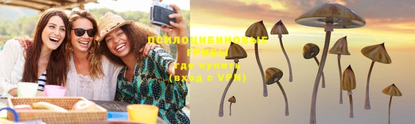 винт Бронницы