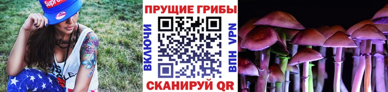 где продают   Городец  Галлюциногенные грибы Psilocybe 