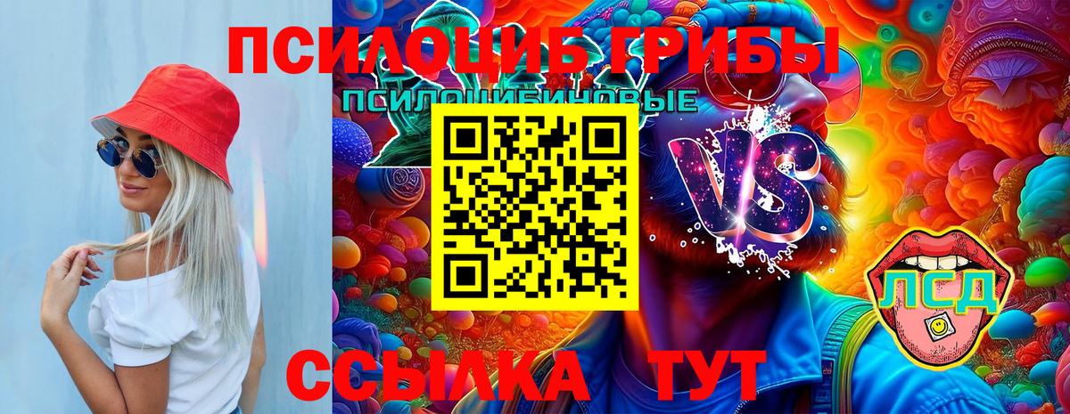Городец  Псилоцибиновые грибы MAGIC MUSHROOMS  Вход с VPN 